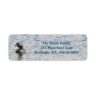 Pied-billed Grebe-Returadress Returadress Etikett