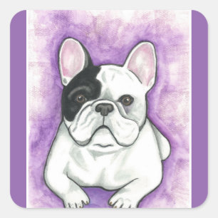 Pied Fransk Bulldog lila-klistermärken Fyrkantigt Klistermärke