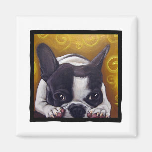 Pied Frenchie ta sig en tupplur Magnet