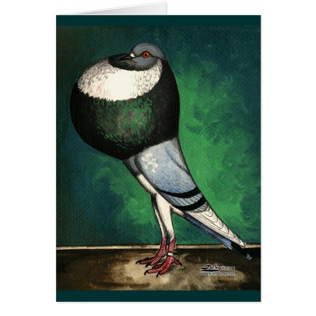 Pied Norwich fiaskoblått OBS Kort (Framsidan)