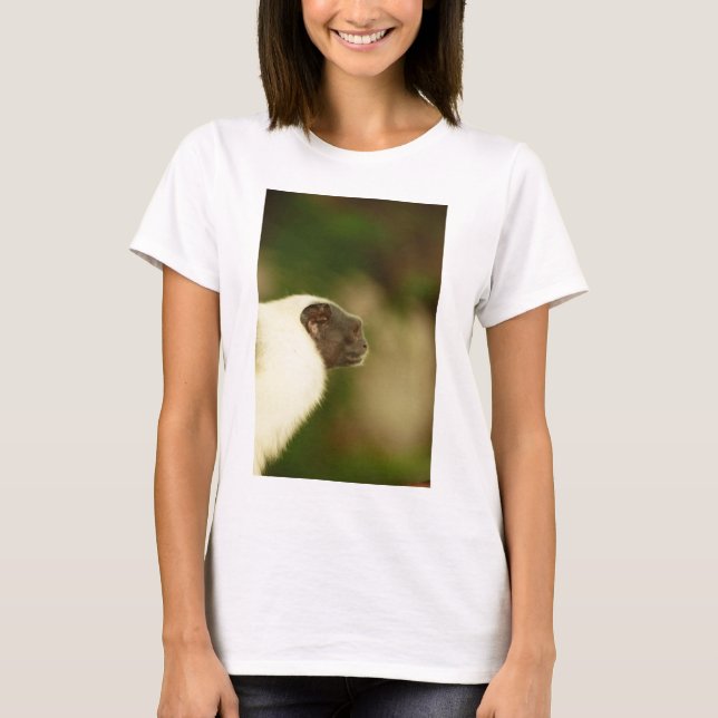 Pied Tamarin Tröja (Framsida)