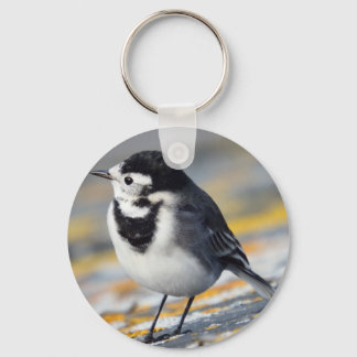 Pied Wagtail-Nyckelring Nyckelring