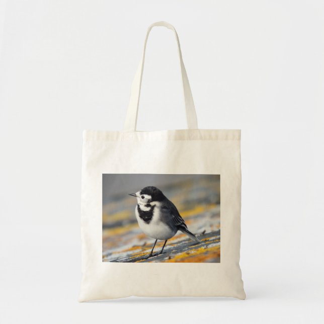 Pied Wagtailtoto Tygkasse (Framsidan)