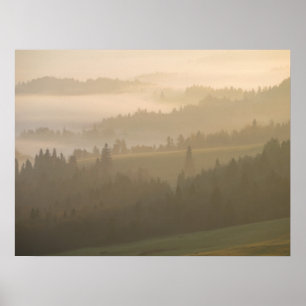 Pieniny dimma poster