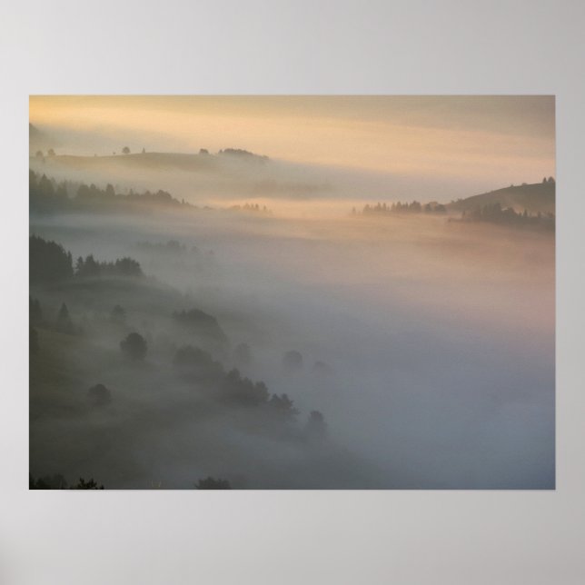 Pieniny sunrise dimma poster (Framsidan)