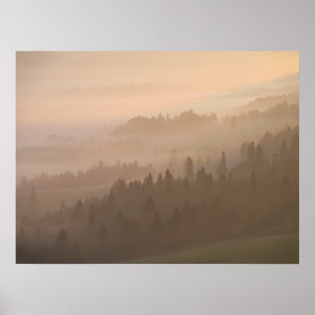 Pieniny sunrise poster (Framsidan)