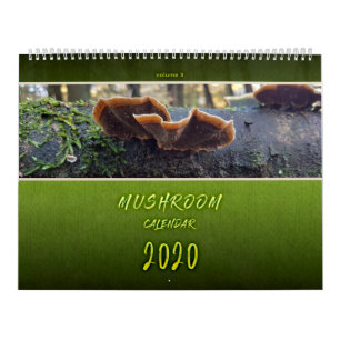 PIENPANOS MUSHROMFOTOGRAFI KALENDER