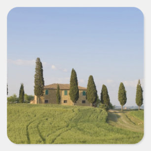 Pienza, Val d'Orcia, Siena provins, Toscana, Fyrkantigt Klistermärke
