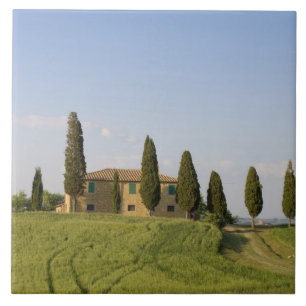 Pienza, Val d'Orcia, Siena provins, Toscana, Kakelplatta