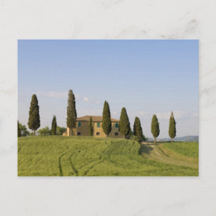 Pienza, Val d'Orcia, Siena provins, Toscana, Vykort