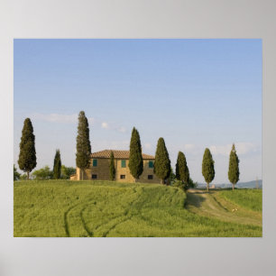 Pienza, Val d'Orcia, Siena-provinsen, Toskana Poster