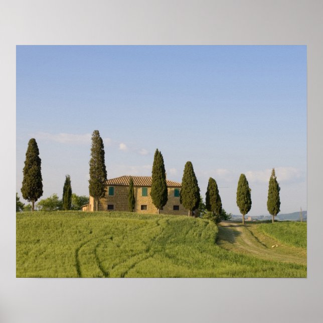 Pienza, Val d'Orcia, Siena-provinsen, Toskana Poster (Framsidan)
