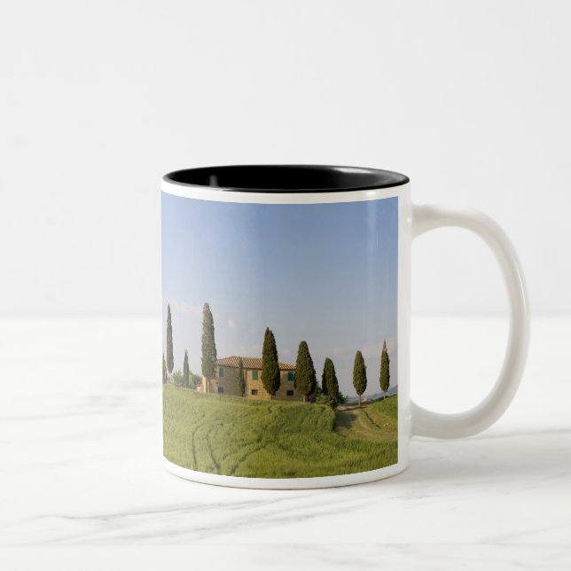 Pienza, Val d'Orcia, Siena-provinsen, Toskana Två-Tonad Mugg (Höger)