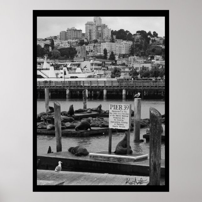 Pier 39 poster (Framsidan)