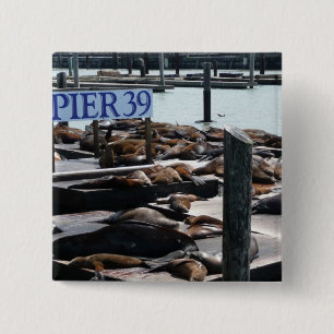 Pier 39 Sea Lejon Knapp