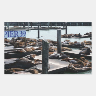 Pier 39 Sea Lejon Rektangulärt Klistermärke