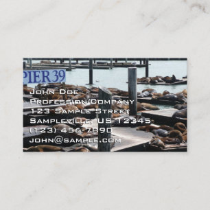 Pier 39 Sea Lejon Visitkort