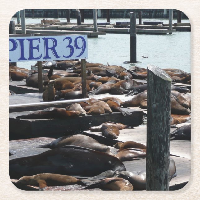 Pier 39 Sjölejon Underlägg Papper Kvadrat (Framsidan)