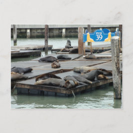 Pier 39 vykort