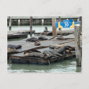 Pier 39 vykort
