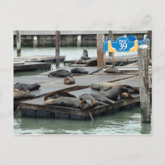 Pier 39 vykort