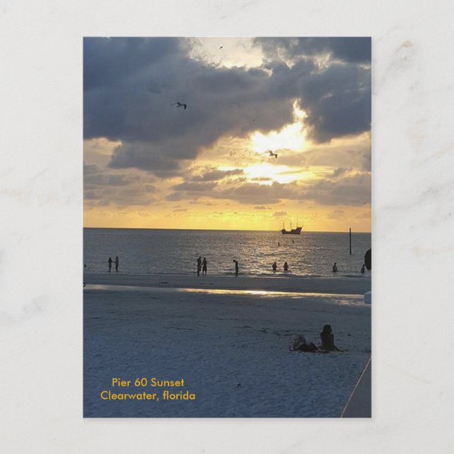 Pier 60 vid Sunset Vykort (Framsida)