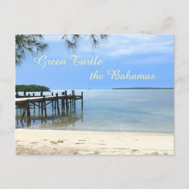 "PIER AT QUIET BEACH/GRÖNT TURTLE, BAHAMAS" VYKORT (Framsida)