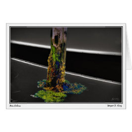 Pier Färg Hälsningskort