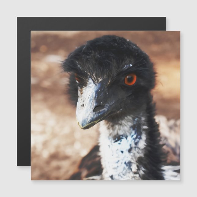 Piercing Ögon för magnetiskt kort för utfall (Fram/baksida)