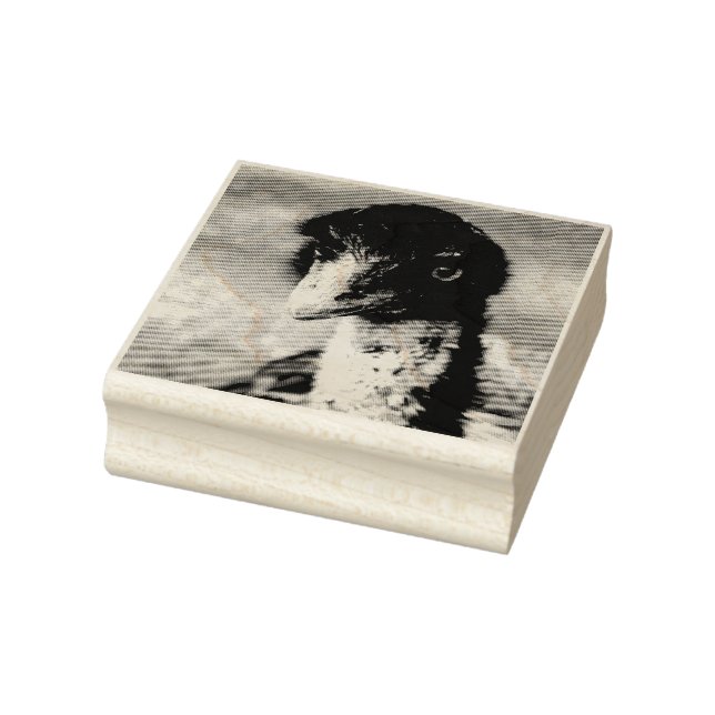 Piercing Ögon i utställningen Stämpel (Stämpel)