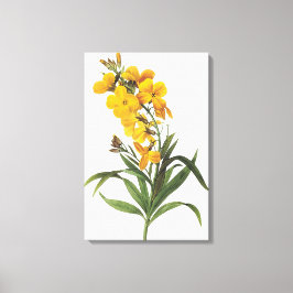 Pierre Joseph Redout gula blommor (okänd namn) Canvastryck