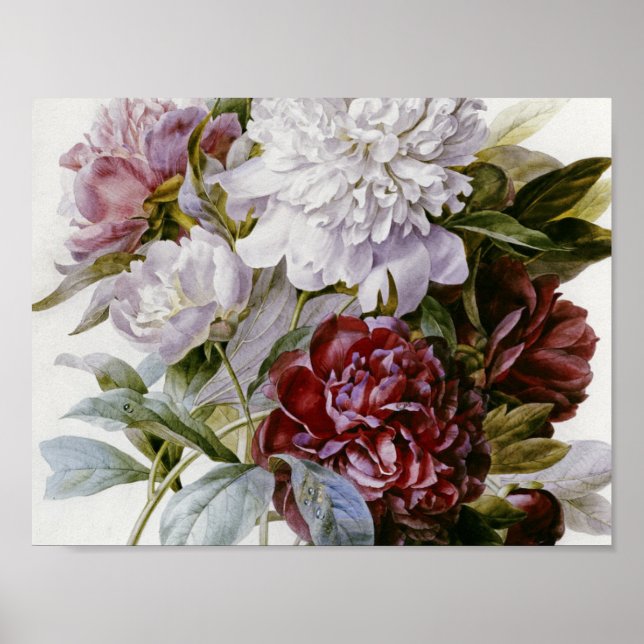 Pierre Joseph Redoute - A Bouquet Peonies Poster (Framsidan)