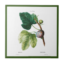 PIERRE-JOSEPH REDOUTÉ ’FIGS’ CERAMIC TILE
