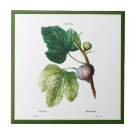 PIERRE-JOSEPH REDOUTÉ ’FIGS’ CERAMIC TILE KAKELPLATTA
