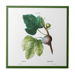 PIERRE-JOSEPH REDOUTÉ ’FIGS’ CERAMIC TILE KAKELPLATTA
