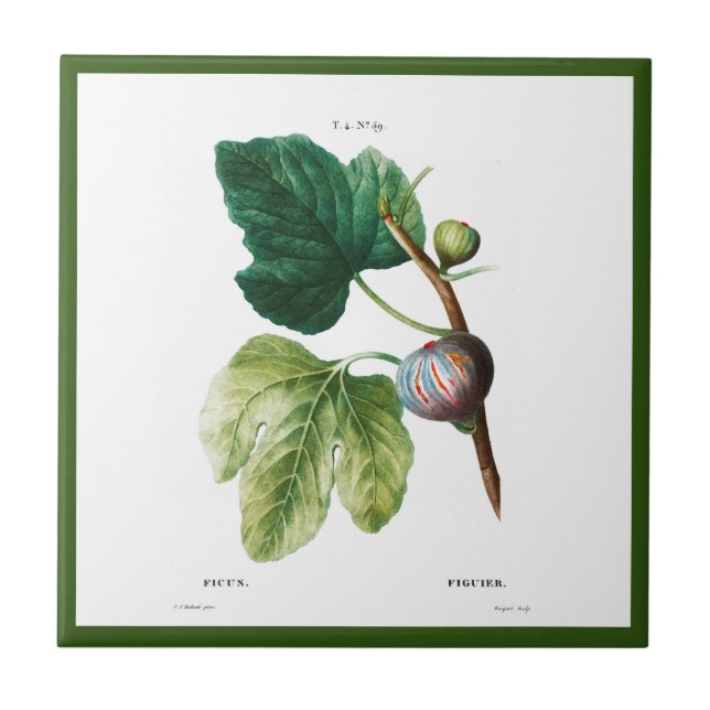 PIERRE-JOSEPH REDOUTÉ ’FIGS’ CERAMIC TILE KAKELPLATTA (Framsidan)