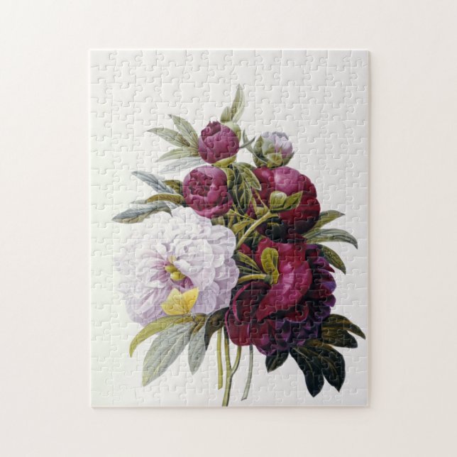 Pierre Joseph Redoute - Peonies Pussel (Vertikal)