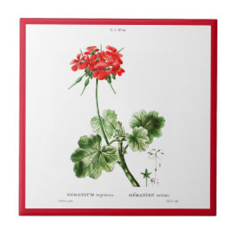 PIERRE-JOSEPH REDOUTÉ ’RED GERANIUM’ CERAMIC TILE KAKELPLATTA