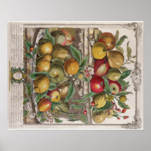 Pieter Casteels, 12 månaders frukt, april Poster