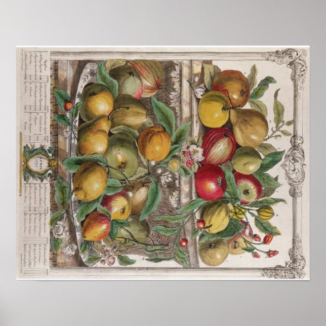 Pieter Casteels, 12 månaders frukt, april Poster (Framsidan)