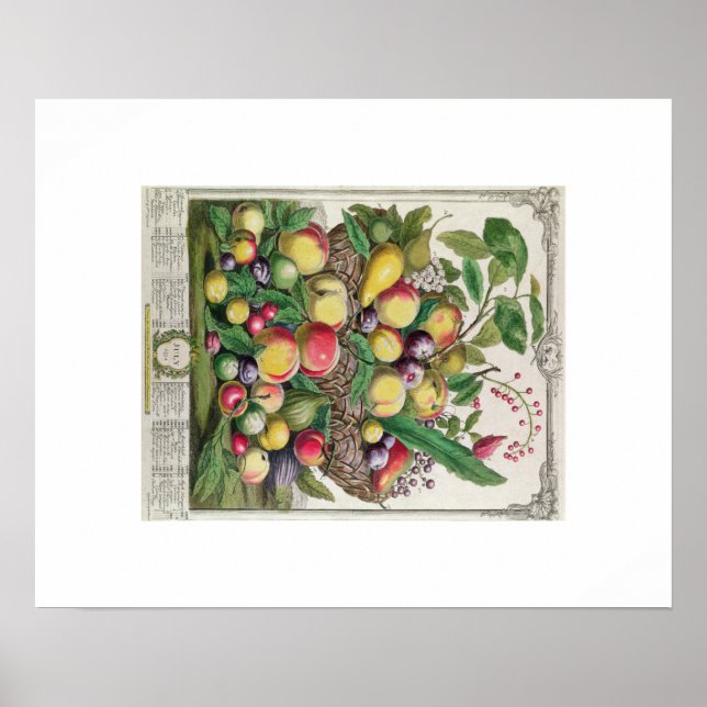 Pieter Casteels, 12 månaders frukt, juli Poster (Framsidan)