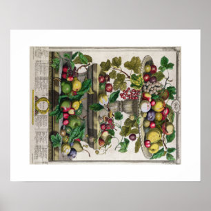 Pieter Casteels, 12 månaders frukt, juni Poster