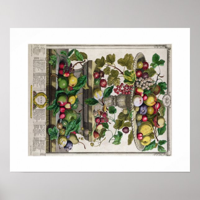 Pieter Casteels, 12 månaders frukt, juni Poster (Framsidan)