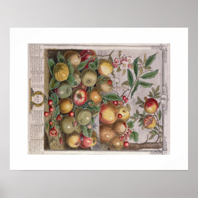 Pieter Casteels, 12 månaders frukt, maj Poster (Framsidan)