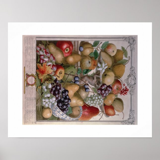 Pieter Casteels, 12 månaders frukt, november Poster (Framsidan)
