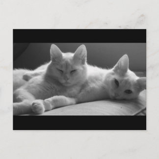 Piff och Puff Vykort