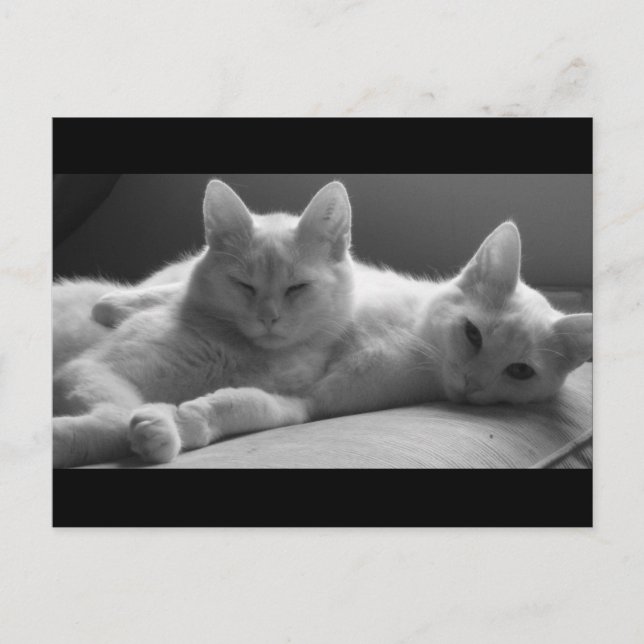 Piff och Puff Vykort (Framsida)