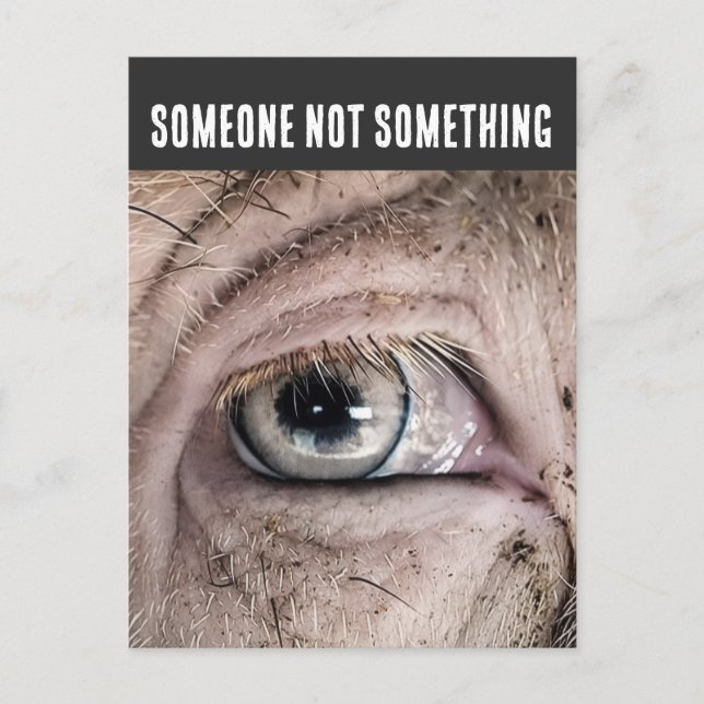 PIG Postcard, SOMEONE NOT SOMETHING Vykort (Framsida)