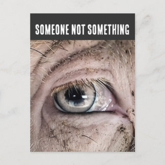 PIG Vykort, NÅGON INTE NÅGOT Vykort