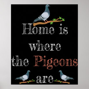Pigeon Älskare Pigeon Tävla Gift Pigeon Breeding Poster